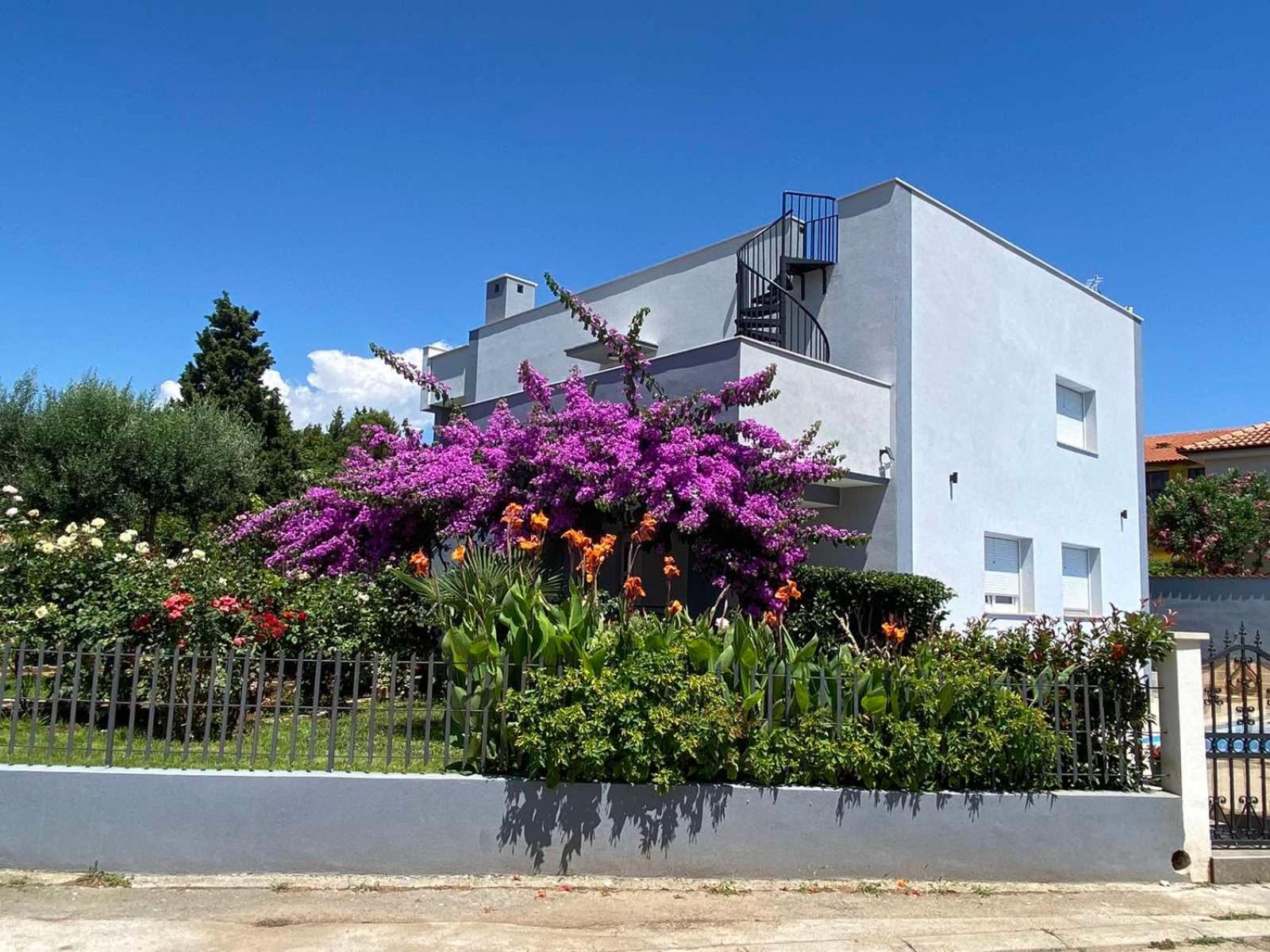 Villa Daniel Pula Bagian luar foto